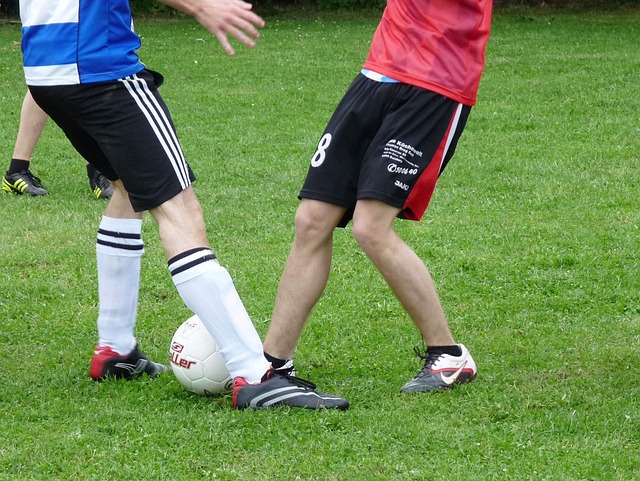 这不仅提高 这不仅提高