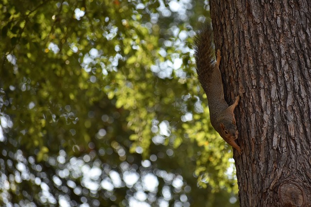 数观众的目 数观众的目